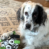 Entry image for Tucker