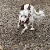 Entry image for Parker