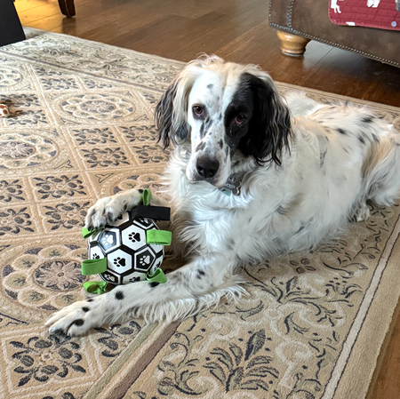 Entry image for Tucker. Clicking this image will show a larger photo