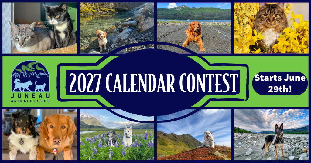 Banner for Juneau Animal Rescue Alaska Pets Photo & Calendar Contest