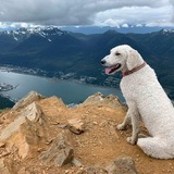 Entry image for Millie
