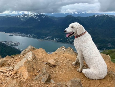 Entry image for Millie. Clicking this image will show a larger photo