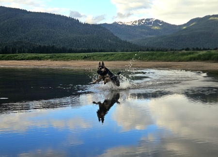 Entry image for Bruce. Clicking this image will show a larger photo
