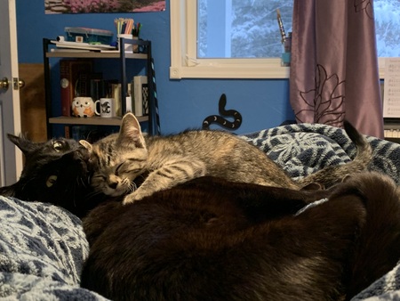 Entry image for Sev and Ellie. Clicking this image will show a larger photo