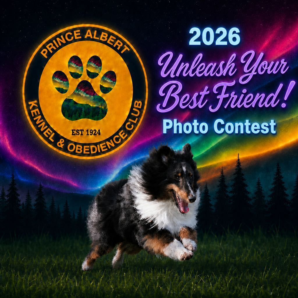 Banner for Unleash Your Best Friend