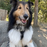 Entry image for Riley Tupper 