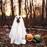 Entry image for Nîso