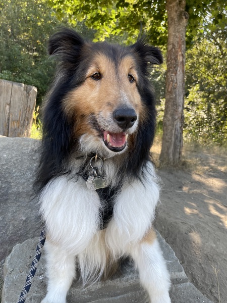 Entry image for Riley Tupper . Clicking this image will show a larger photo