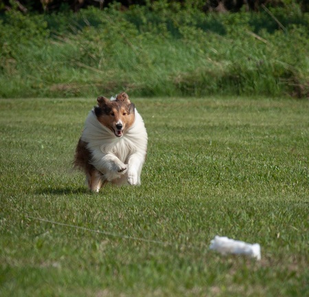 Entry image for Mac. Clicking this image will show a larger photo