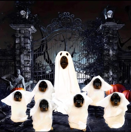 Entry image for hazelnut with her goblins. Clicking this image will show a larger photo