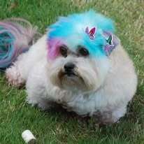 Entry image for Ethel. Clicking this image will show a larger photo