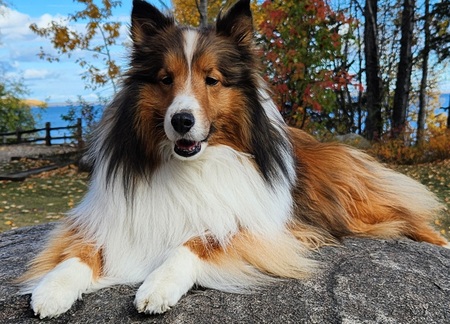 Entry image for Brody  Christensen . Clicking this image will show a larger photo