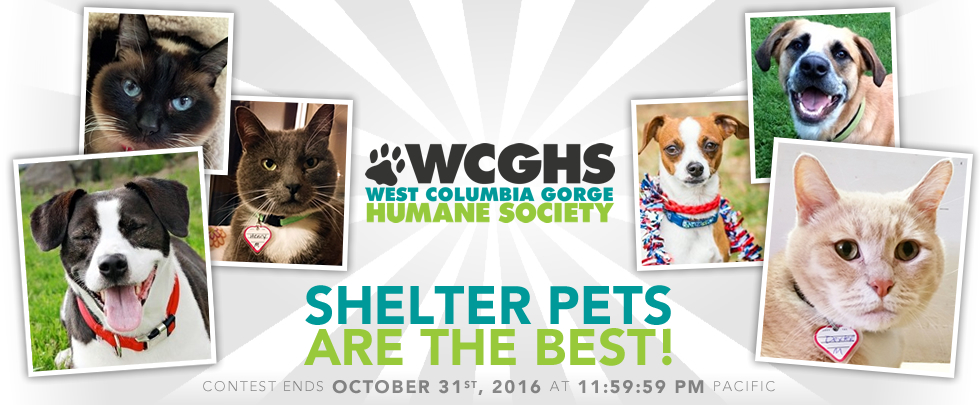 Best humane best sale society near me