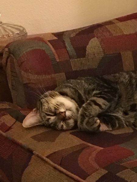 Coco