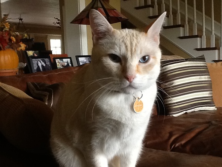 Jonesy
