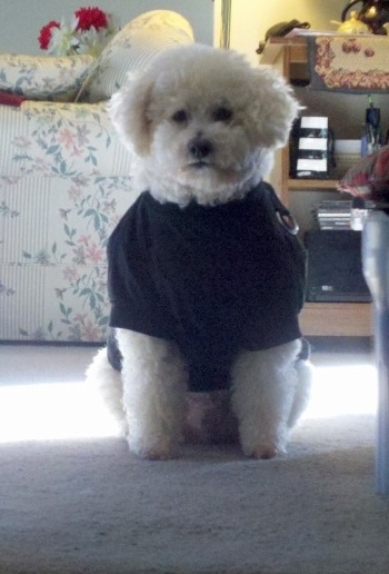 Dewey