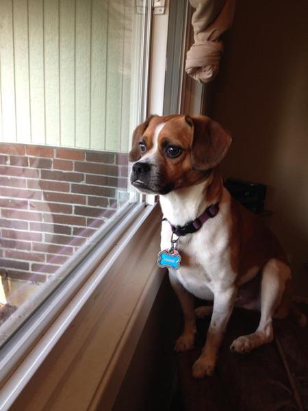 Cooper