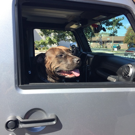 Wrangler 