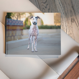 Entry image for Bene