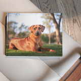 Entry image for Tessa
