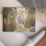 Entry image for Gigi