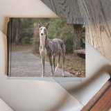 Entry image for Piper