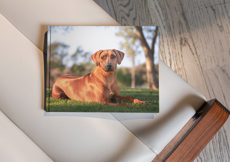 Entry image for Tessa. Clicking this image will show a larger photo
