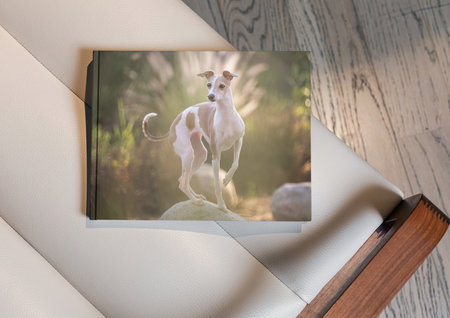 Entry image for Gigi. Clicking this image will show a larger photo