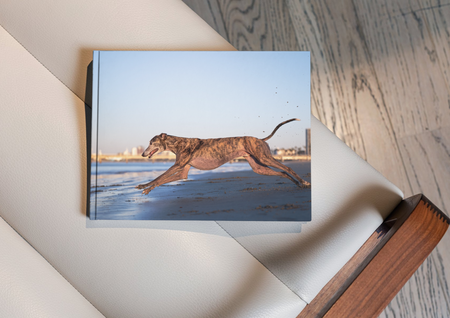 Entry image for Kitty. Clicking this image will show a larger photo
