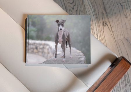 Entry image for Agnes. Clicking this image will show a larger photo