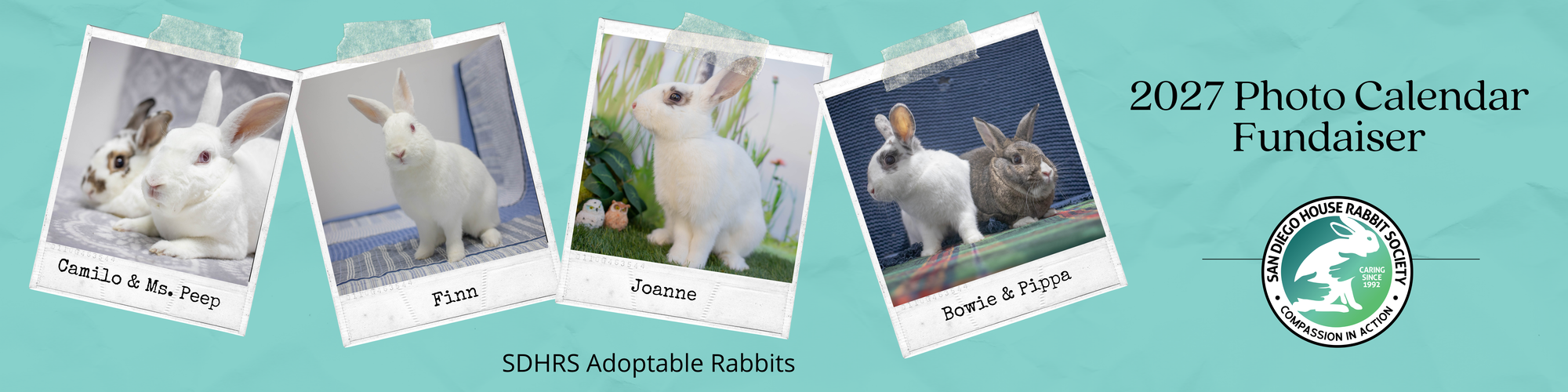Banner for San Diego House Rabbit Society's 2027 Calendar Photo Contest & Fundraiser