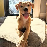 Entry image for Ernie