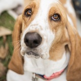 Entry image for Peaches