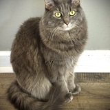 Entry image for Catsy “Pippa” Cline
