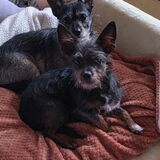 Entry image for Cissy & Rudy