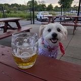 Entry image for Gus