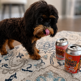 Entry image for Shelby 