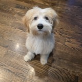 Entry image for Brylee
