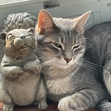Entry image for Muffit