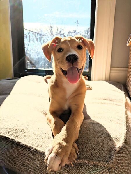 Entry image for Ernie. Clicking this image will show a larger photo