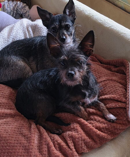 Entry image for Cissy & Rudy. Clicking this image will show a larger photo