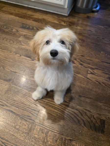 Entry image for Brylee. Clicking this image will show a larger photo