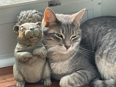 Entry image for Muffit. Clicking this image will show a larger photo