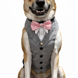 Entry image for Yogi