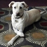 Entry image for Wally