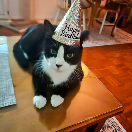 Entry image for Buddy. Clicking this image will show a larger photo