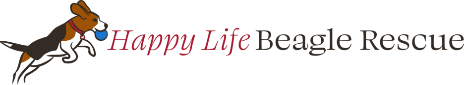Logo for 2027 Happy Life Beagle Rescue Calendar Contest