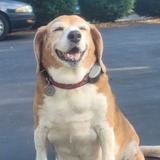 Entry image for Tootsie