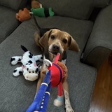 Entry image for Daisy