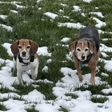 Entry image for Otto & Nellie